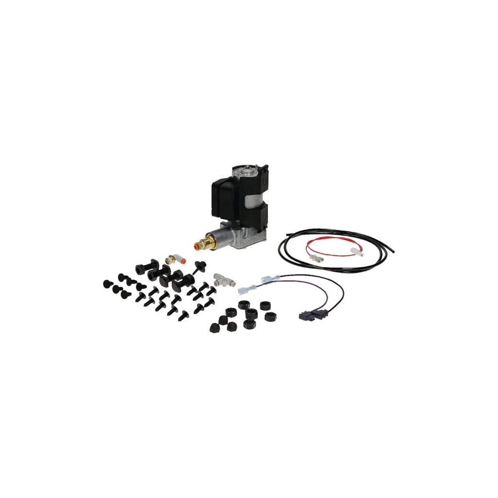[AMAT2-381986] Set compresor 12V SA20347