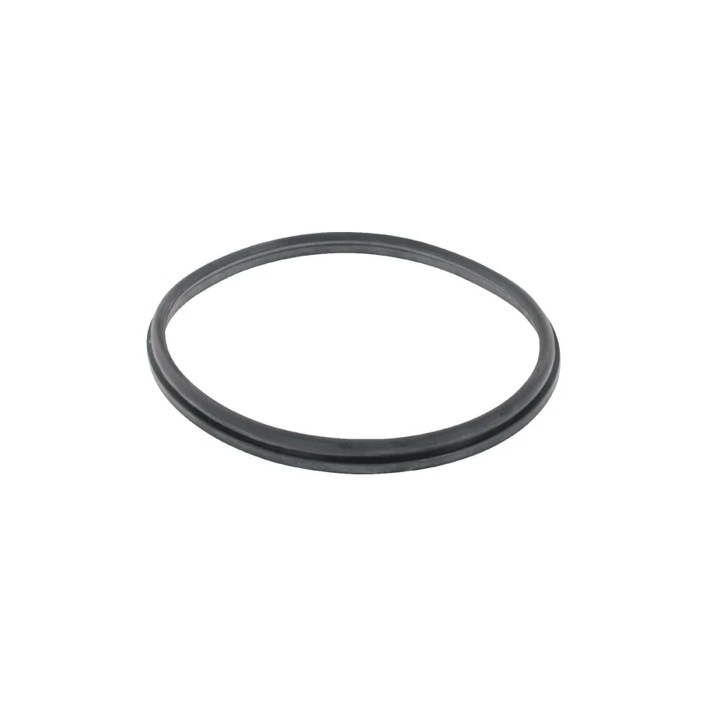 [AMAT2-382913] Garnitură de etanșare 8" Battioni Pagani SAR2