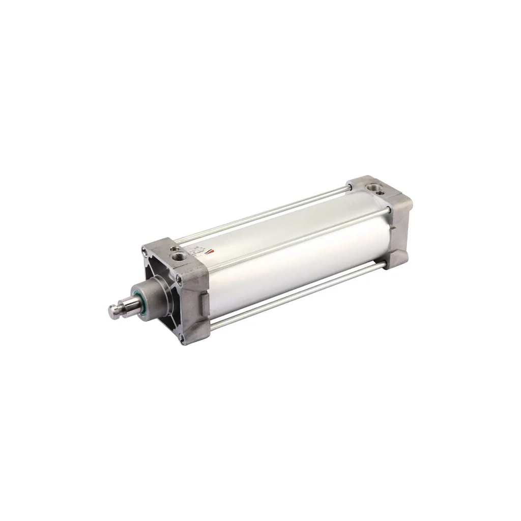 [AMAT2-382489] Cilindru pneumatic 8" Battioni Pagani SAR33