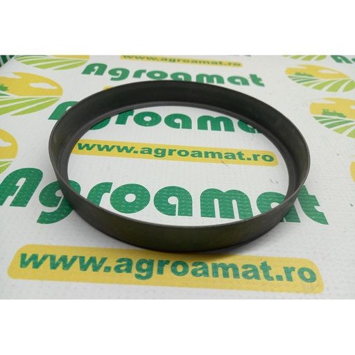[AMAT1-29941] Inel Etansare 6005019440