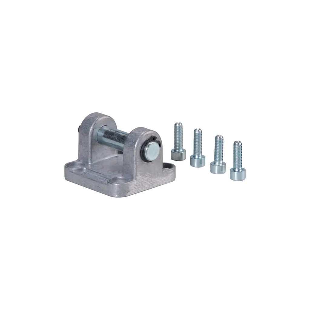 [AMAT2-386581] Flanșă pivotantă SFB63PN