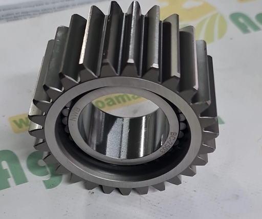 [AMAT1-30277] Pinion