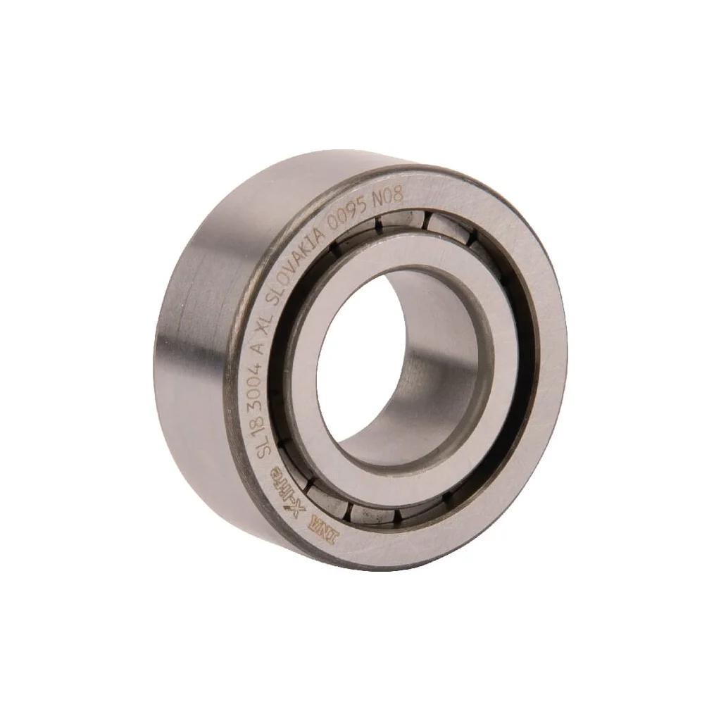 [AMAT2-390318] Rulment cu role cilindrice 20x42x16mm INA/FAG SL183004AXL