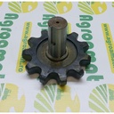 Pinion 1.351.029