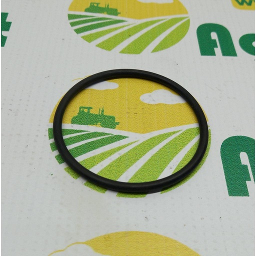 [AMAT1-30577] O-Ring 2.1530.145.0