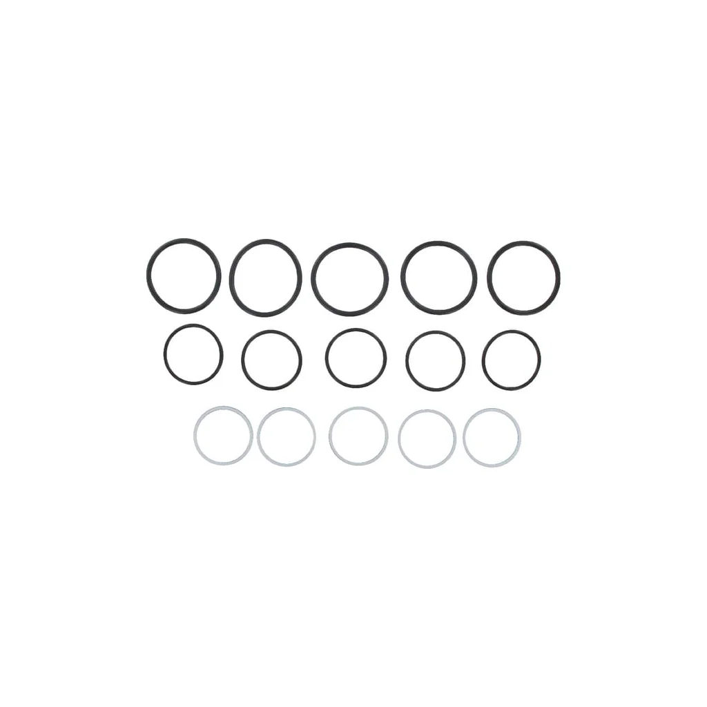 [AMAT2-389758] Set garnituri pentru SKS-F-25 (5x) SKS9F25SEALP005N