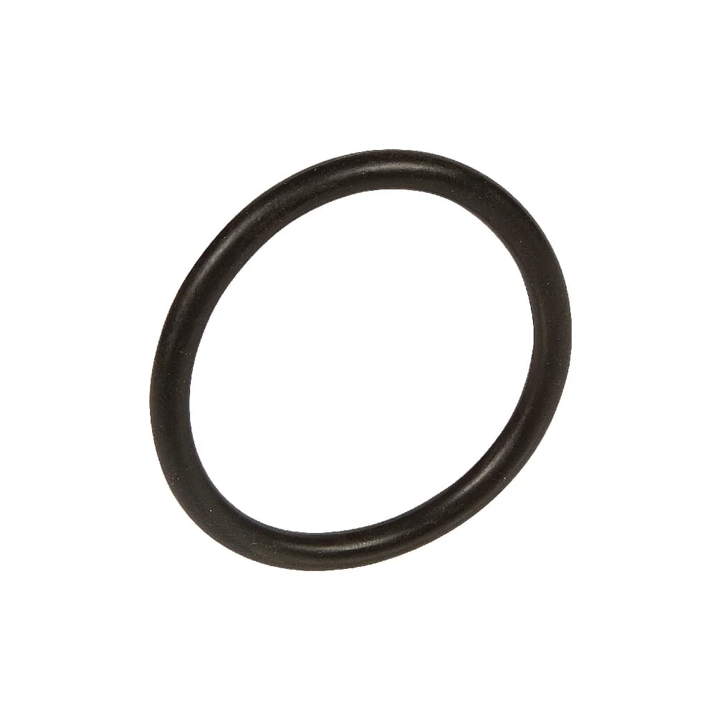 [AMAT2-395912] O-ring 47x5mm SY012694