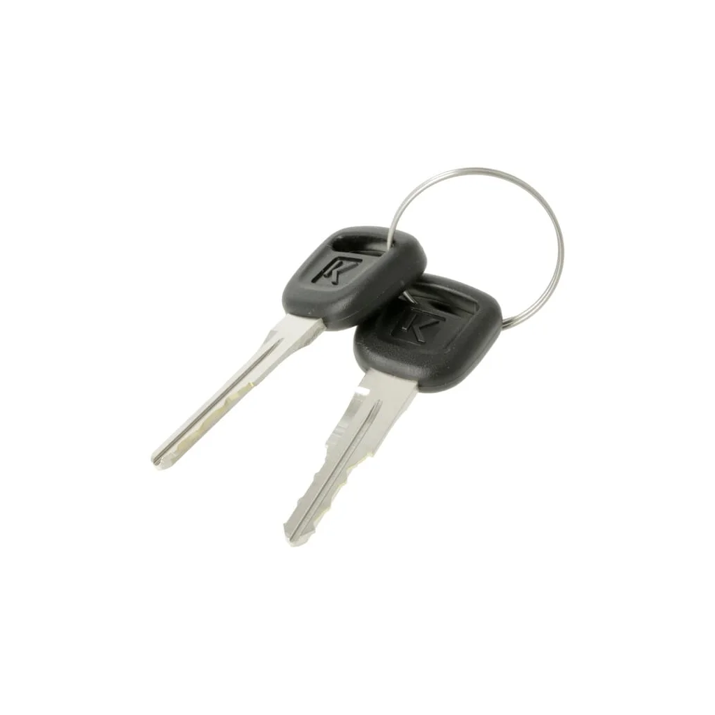 [AMAT2-397399] Cheie T027081840