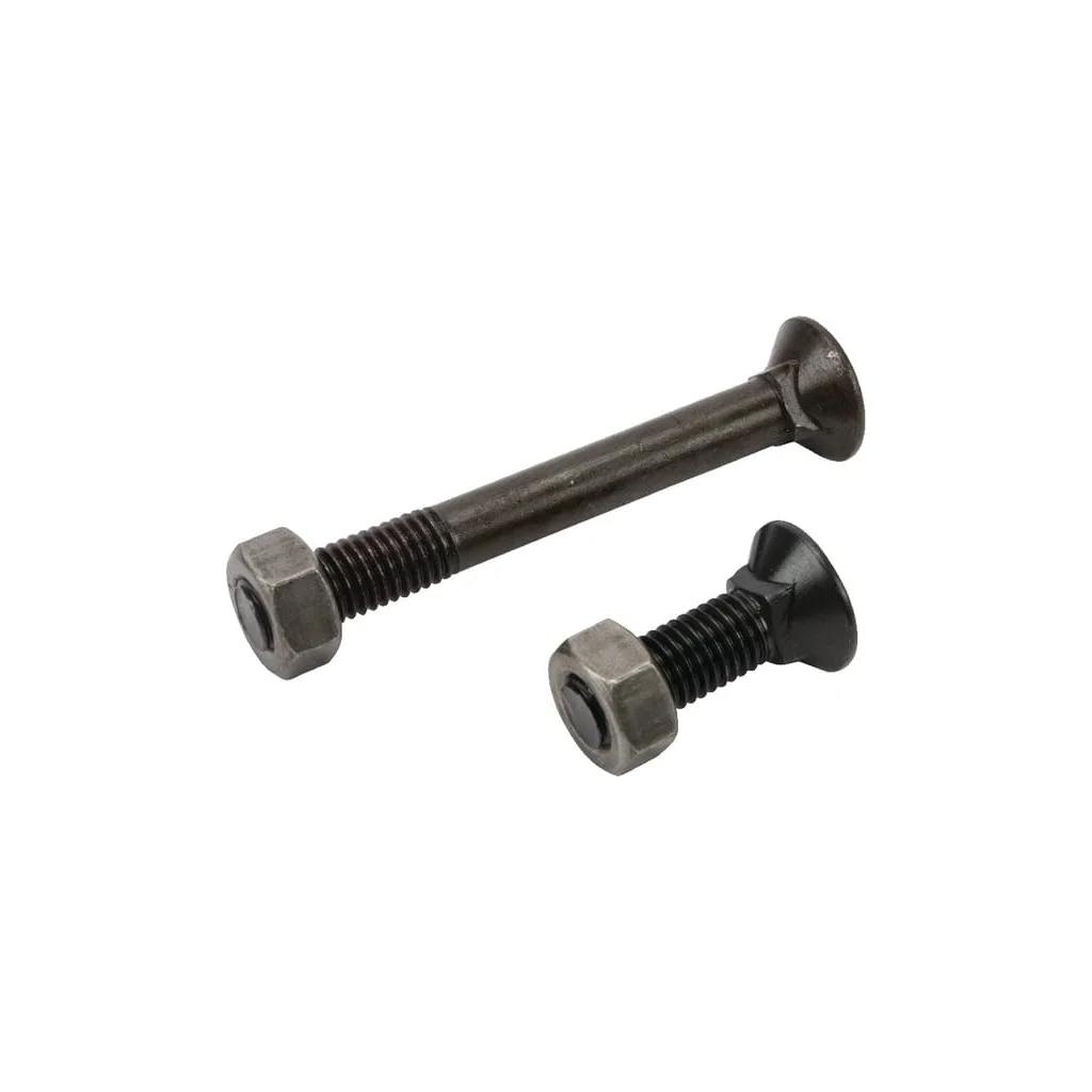 [AMAT2-399310] Set șuruburi plug cu gât pătrat și piuliță M12x40mm VK 1 buc. M12x100mm VK 1 buc. TB30193