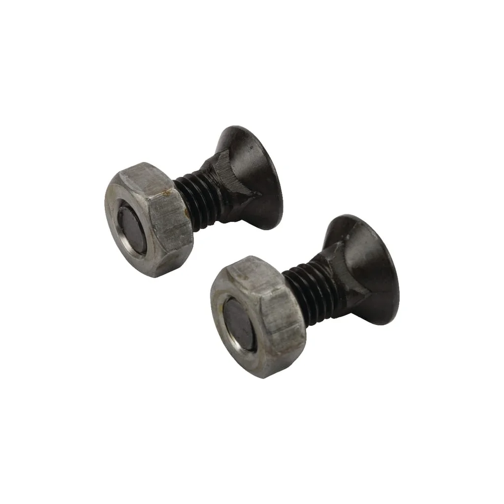 [AMAT2-399770] Set șuruburi plug cu gât pătrat și piuliță M10x25mm VK 2 buc. TB30001