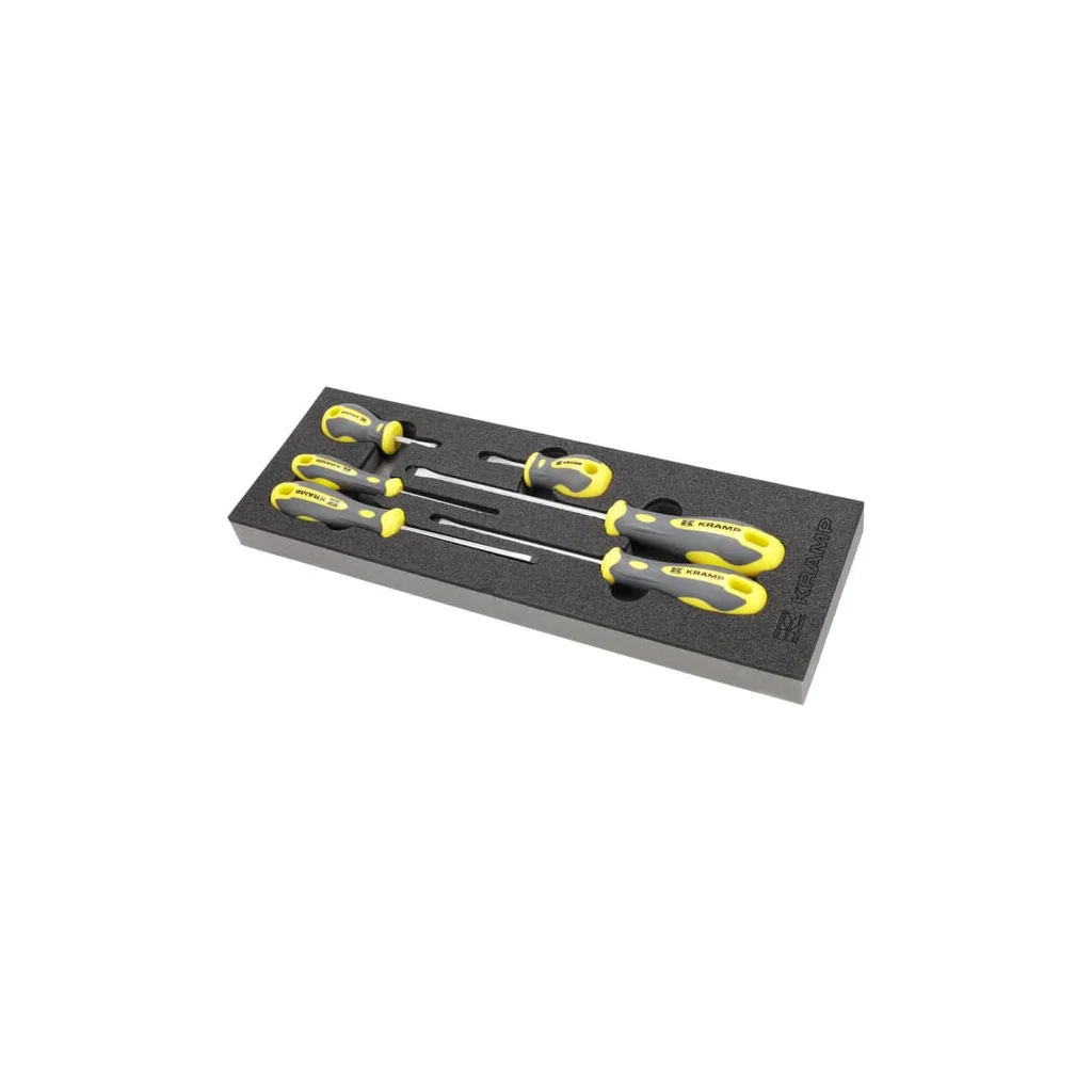 [AMAT2-402296] Modul spumă pentru set șurubelniță cu profil plat 6 buc. (set inclus) TT804003