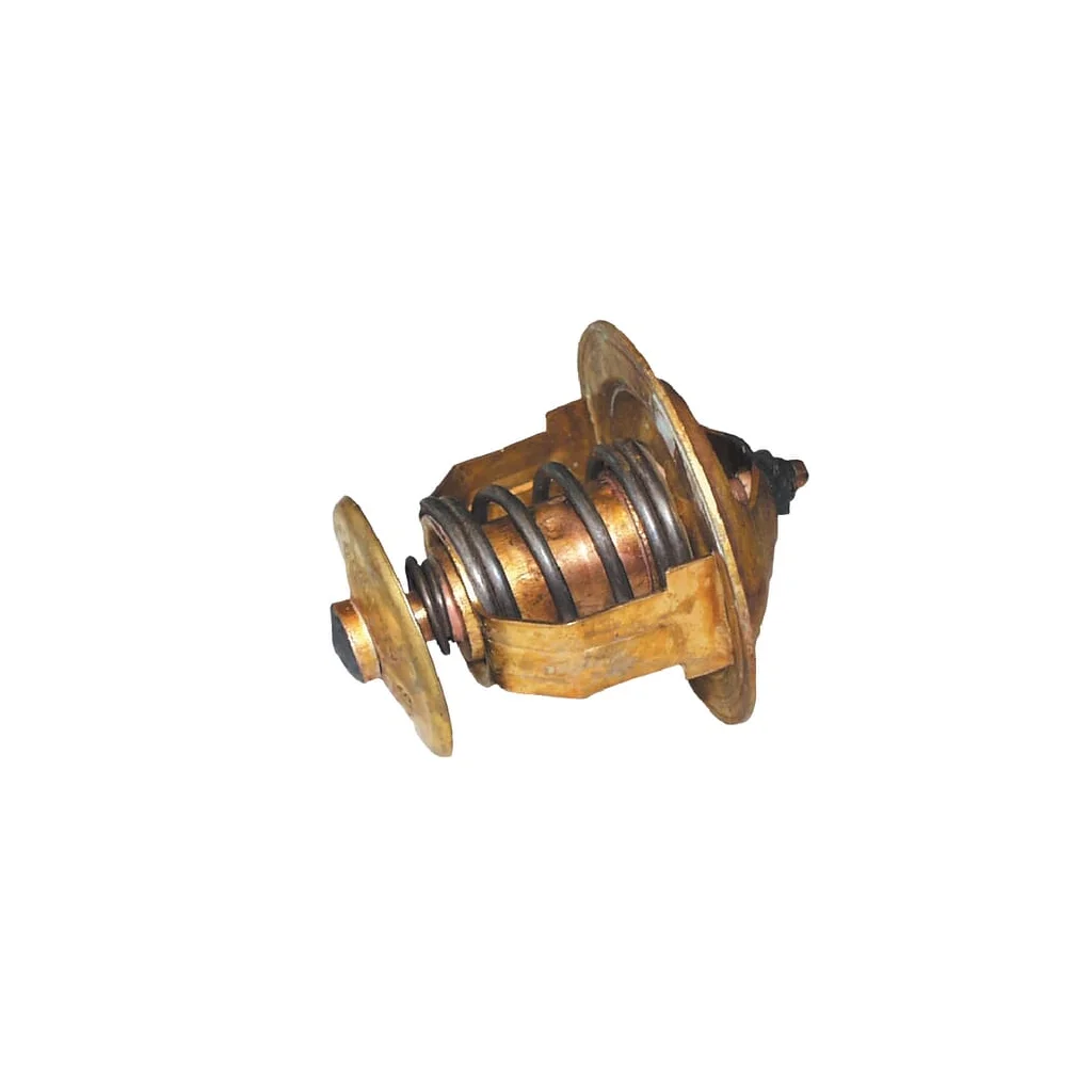 [AMAT2-402501] Termostat potrivit pentru Belarus TS1071306100N