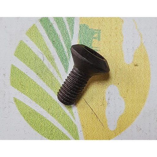 [AMAT1-31001] Surub 10X28