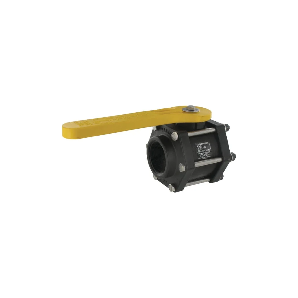 [AMAT2-404973] Supapă Poly 2" V200FP