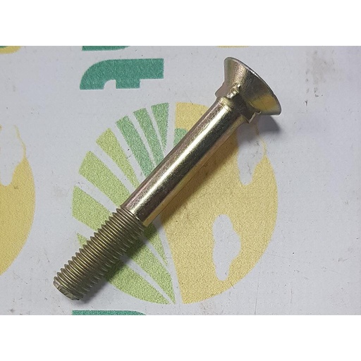 [AMAT1-31057] Surub plug cu gat patrat 12x90