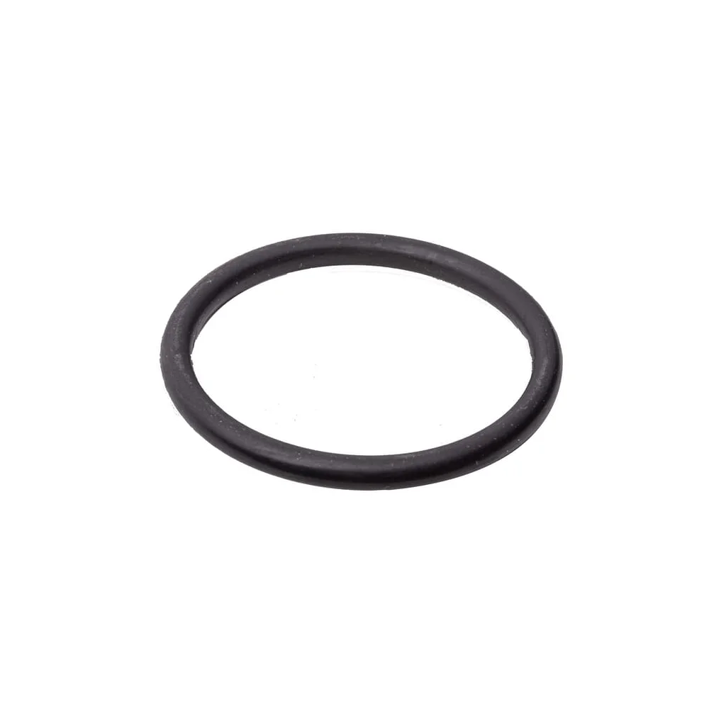 [AMAT2-404396] O-ring 34,52x3,53mm (rif.4137) UD110107