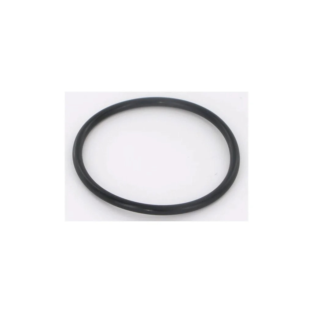[AMAT2-411302] O-ring, Vicon VN17882338