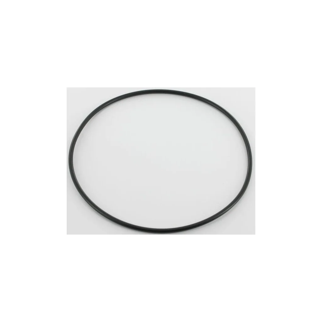 [AMAT2-407448] O-ring 101.27x2.62 VF16608485