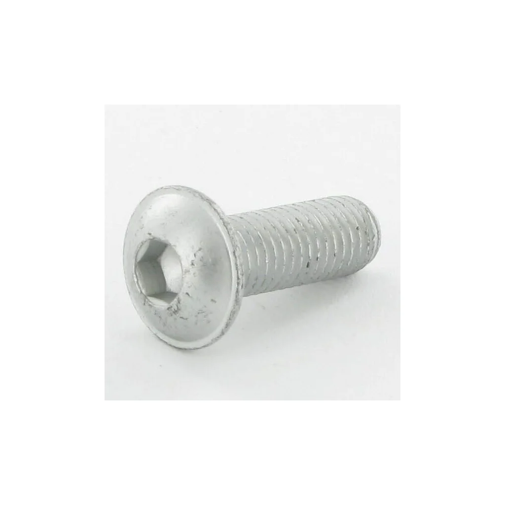 [AMAT2-407502] Șurub cap bombat torbant VF16607787