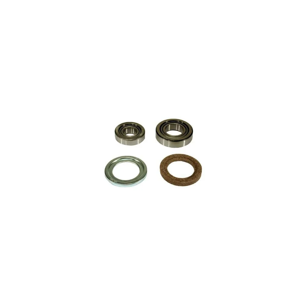 [AMAT2-418926] Set rulment roată VPJ2201