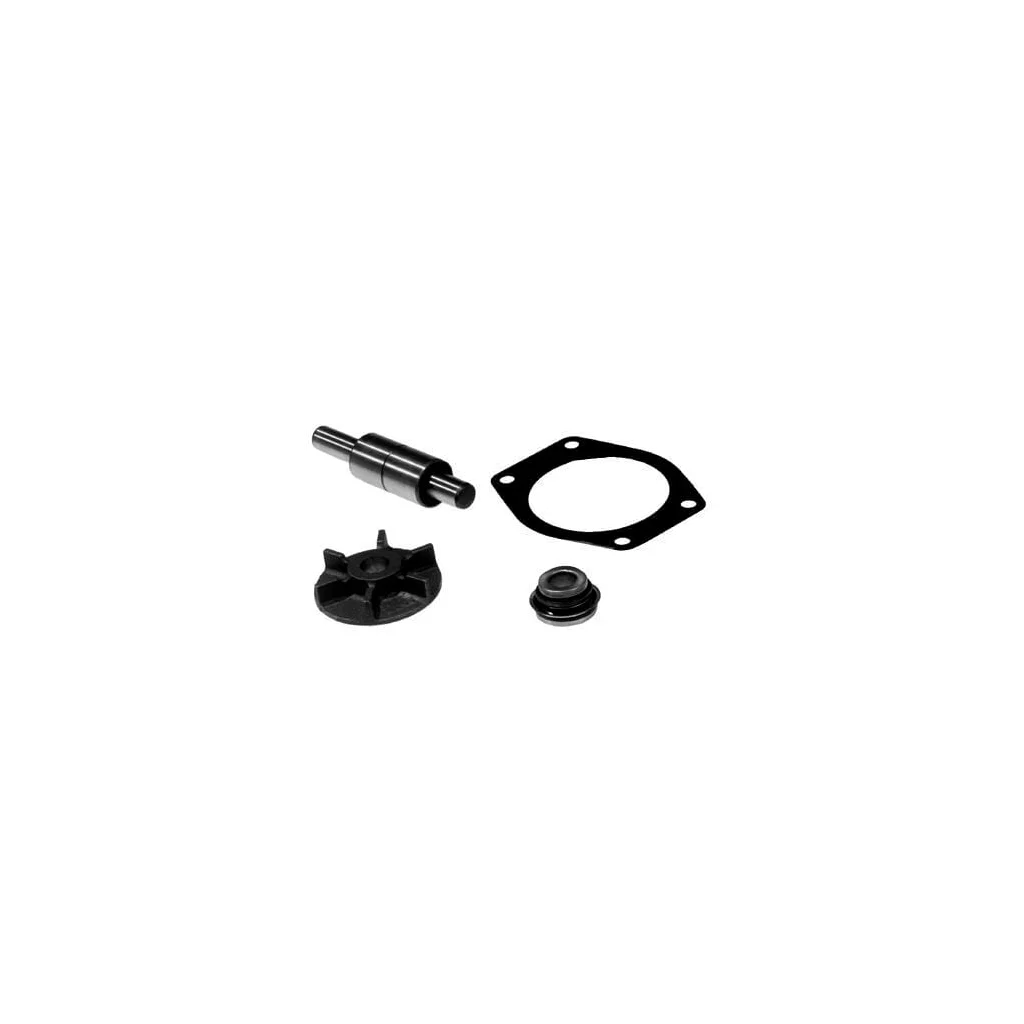 [AMAT2-417826] Set de reparație pompă de apă VPE2011
