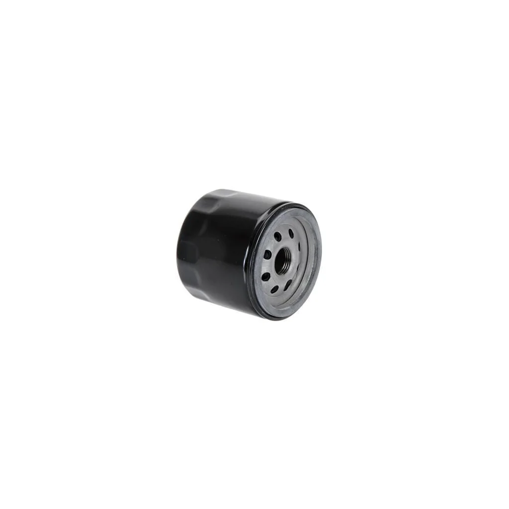[AMAT2-417934] Filtru de ulei VPD5158