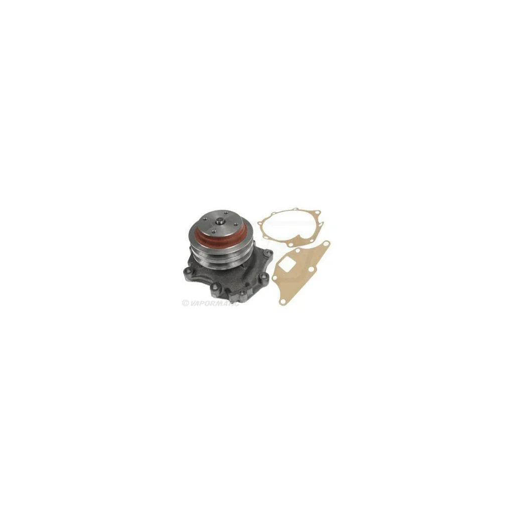 [AMAT2-418009] Pompă apă VPE1038