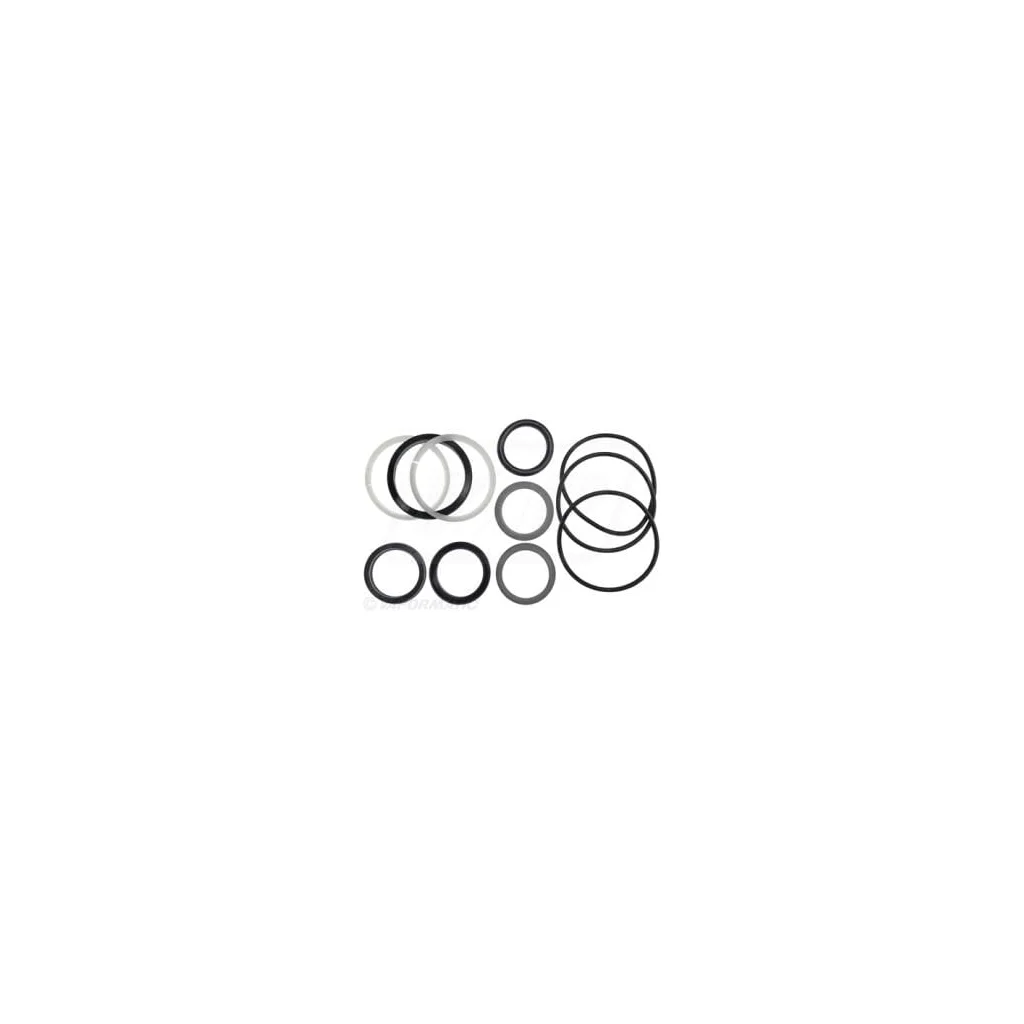 [AMAT2-418317] Kit de etanșare pentru piston VPJ4084