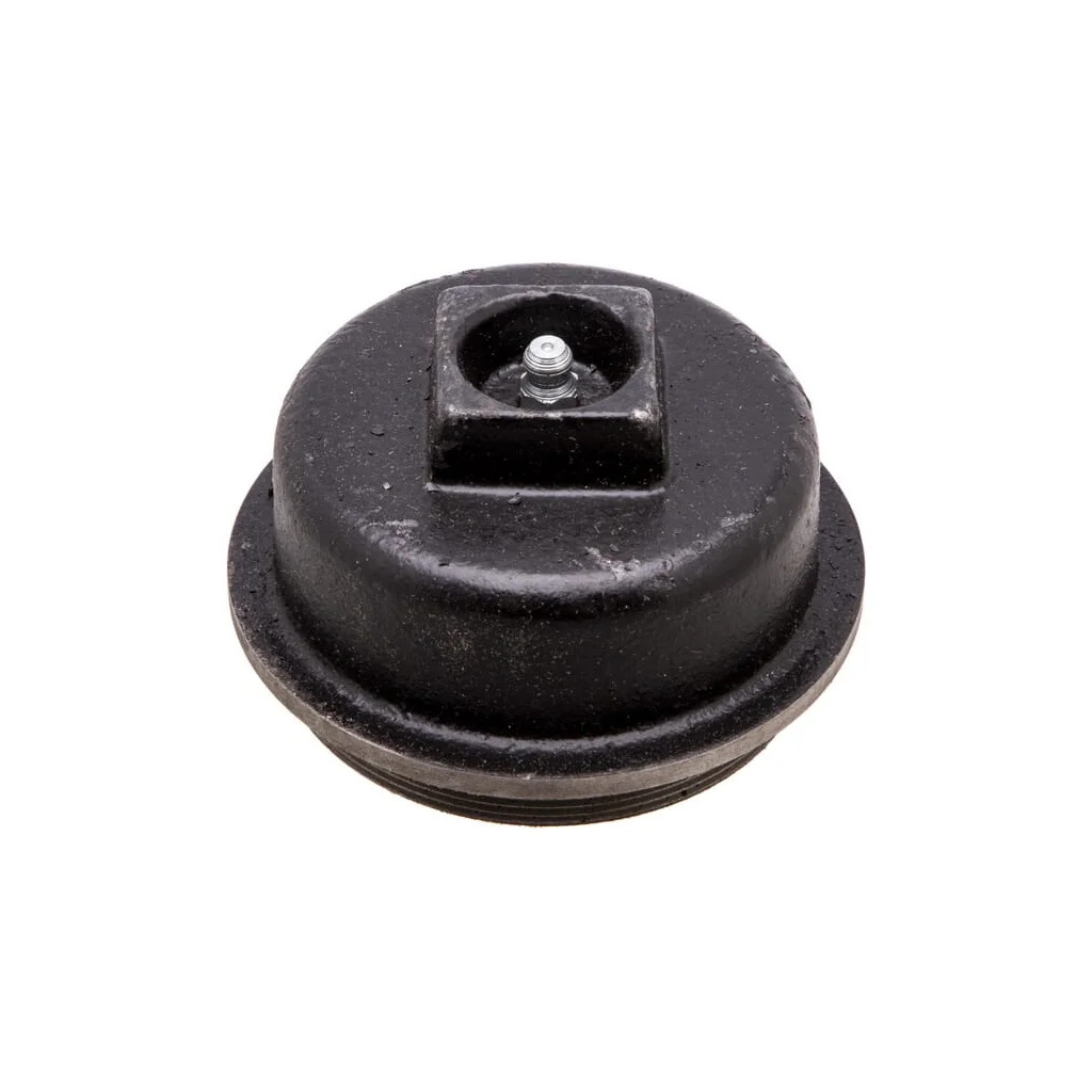 [AMAT2-418441] Capac butuc VPJ1304