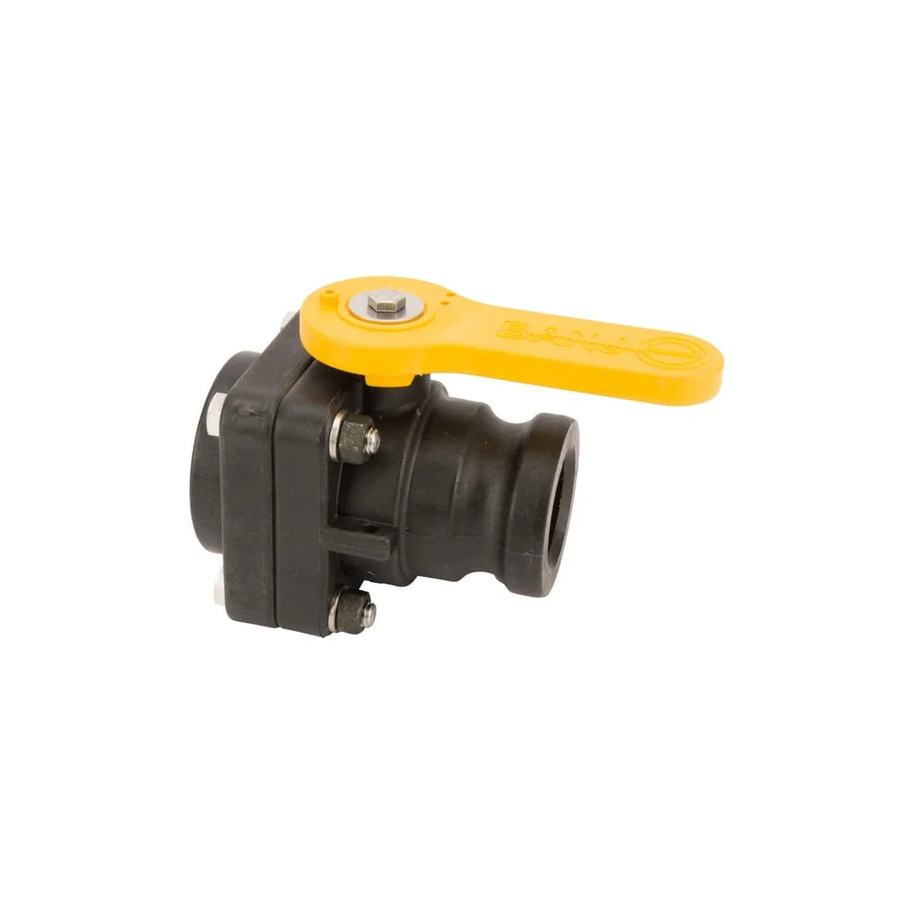 [AMAT2-421686] Supapă 2" tată 2" BSP VSF200B