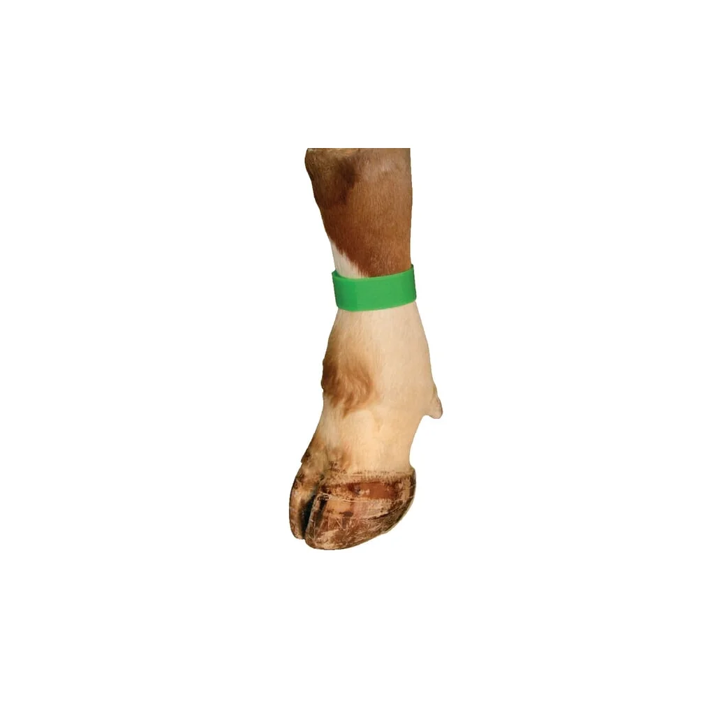 [AMAT2-423040] Bandă de identificare cu arici,verde VV8133