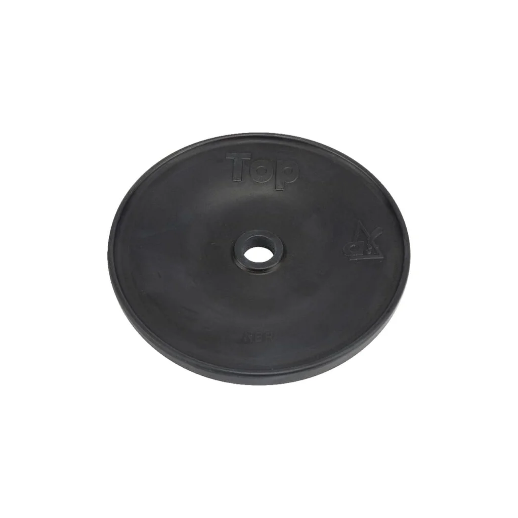 [AMAT2-413850] Membrane P260  Ø127 VNB4458178