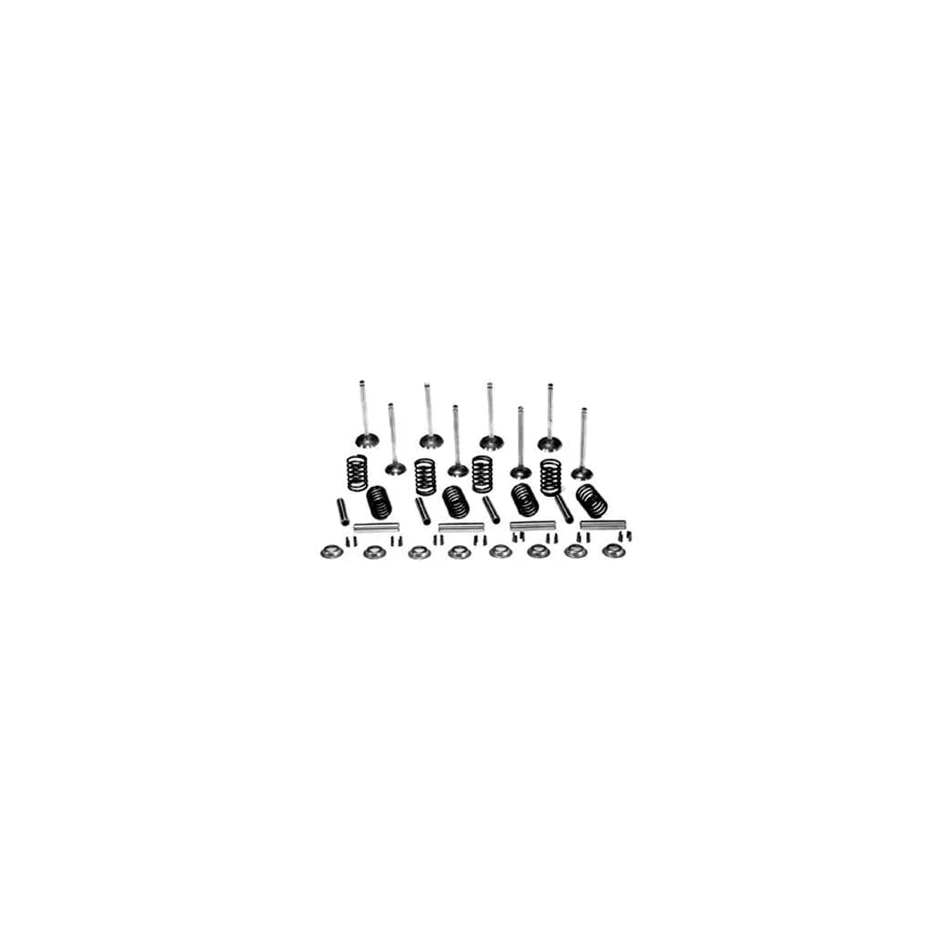 [AMAT2-414975] Set supapă VPA6012