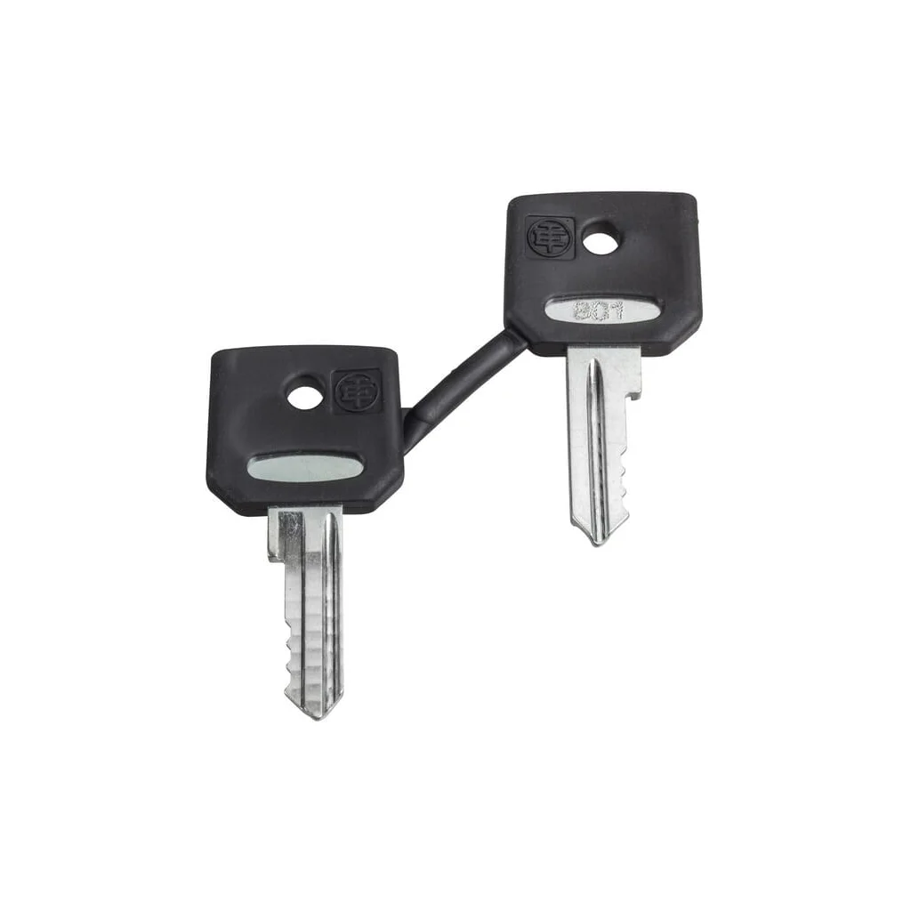 [AMAT2-430751] Set de chei N455 Ronis ZBG455