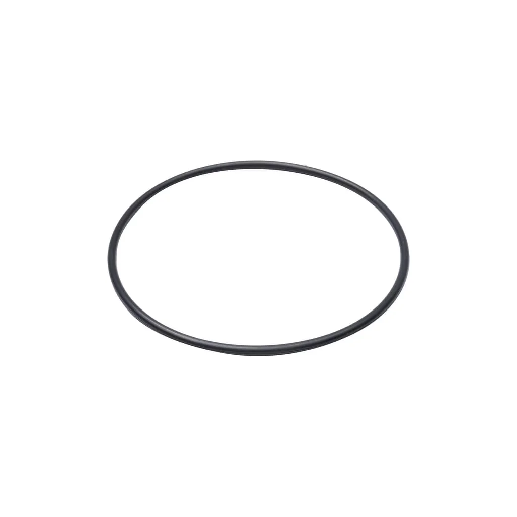 [AMAT2-426265] O-ring X548974066000