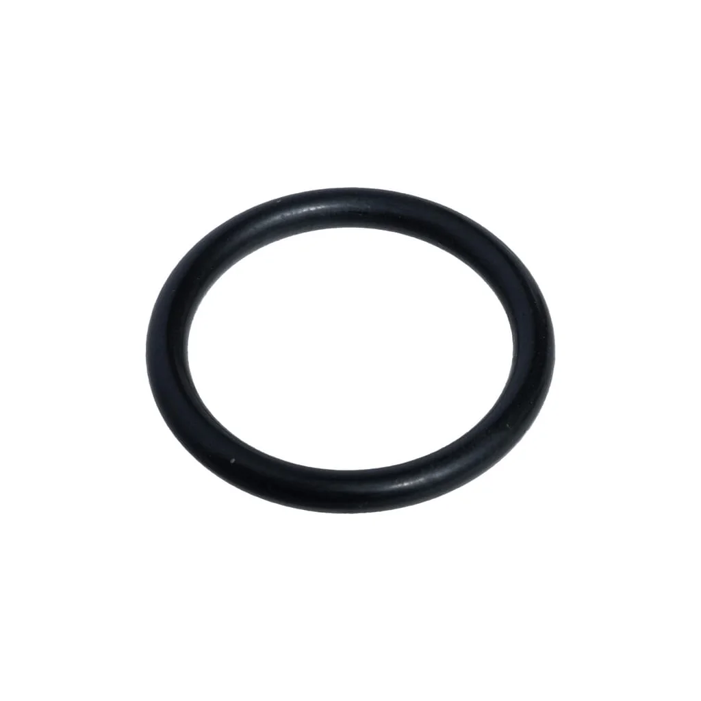 [AMAT2-426333] O-ring X548854300000