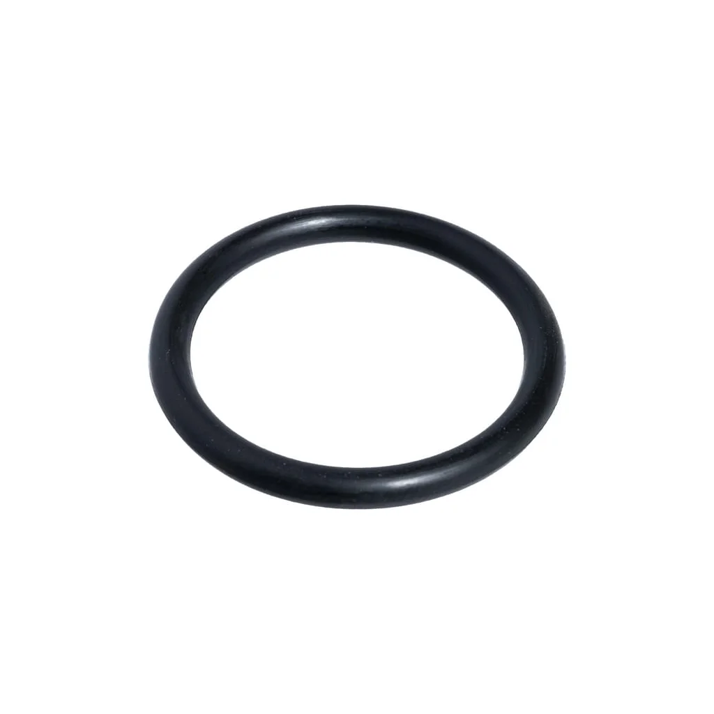 [AMAT2-426361] O-ring X548872466000