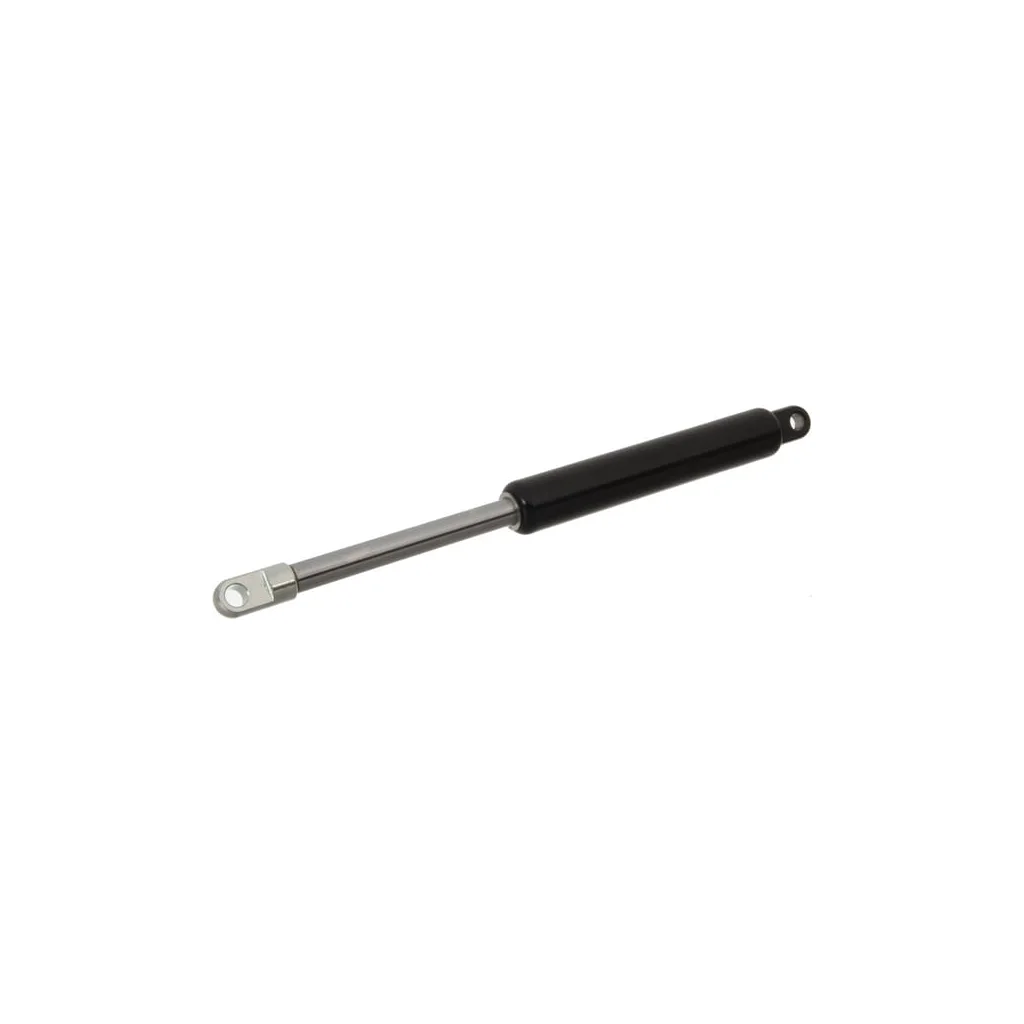 [AMAT2-429240] Amortizor gaz Z4013730