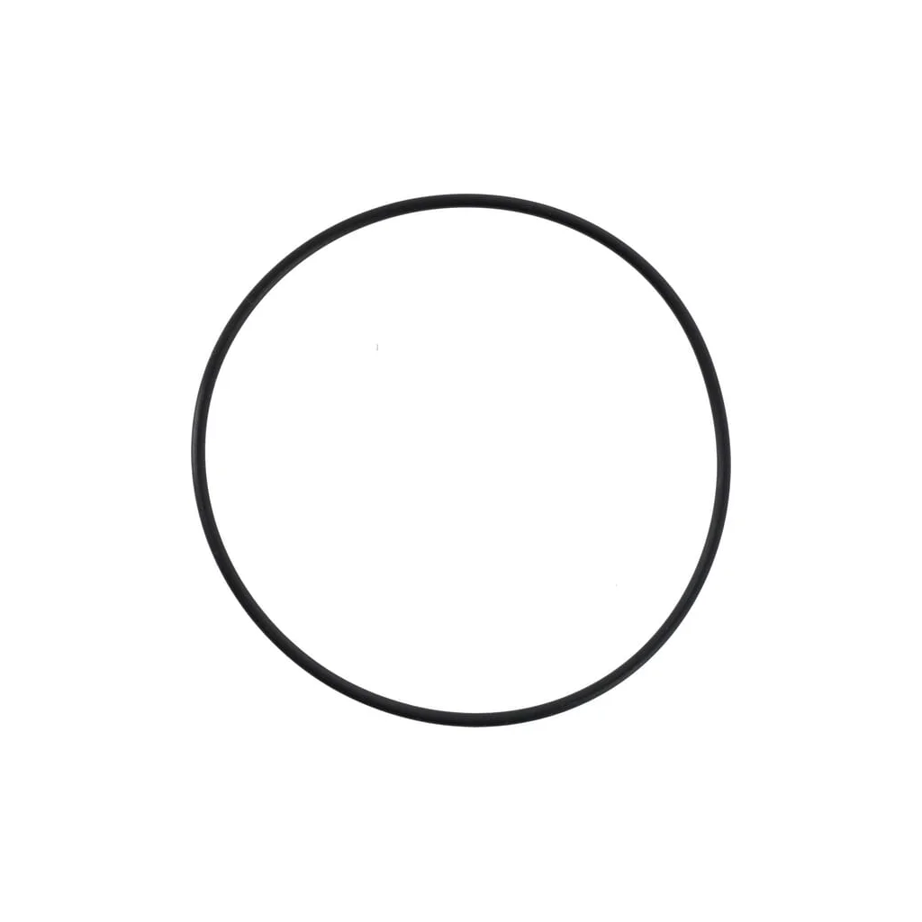 [AMAT2-426656] O-ring X548989201000