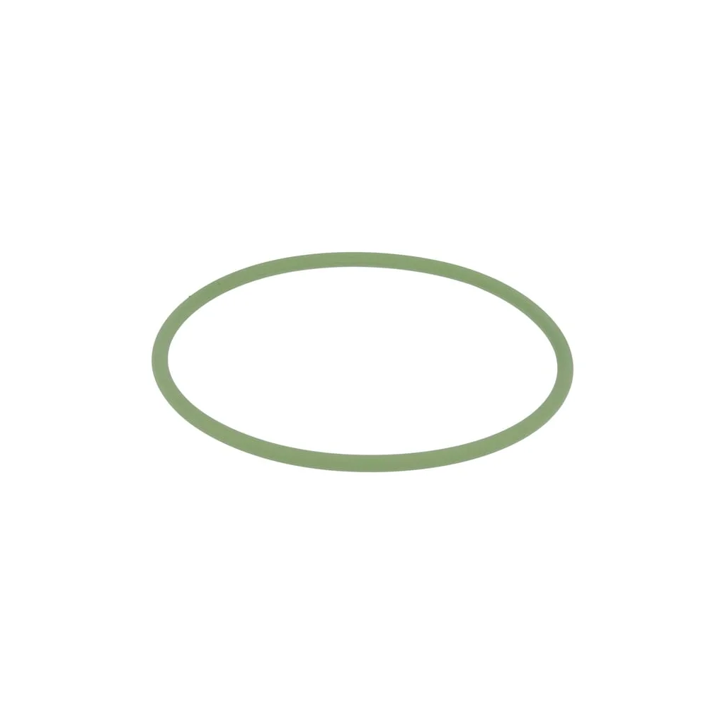 [AMAT2-426750] O-ring X548953115000