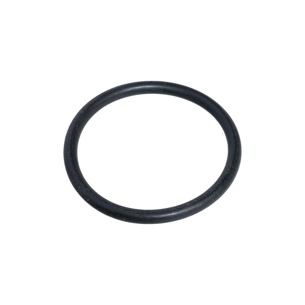 [AMAT2-427041] O-ring X548892266000