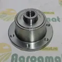 Butuc Grapa