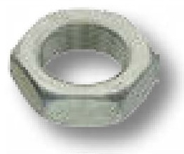 [AMAT3-102640] Saiba elastica