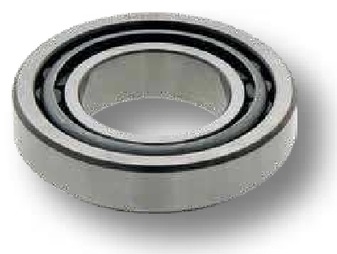 [AMAT3-103960] Cuzinet
