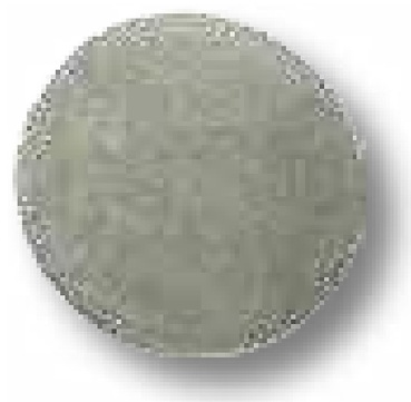 [AMAT3-103432] DANA Spicer Placa presiune - pentru ax pinion