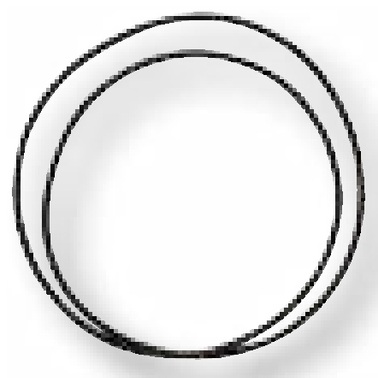 [AMAT3-103459] DANA Spicer O-Ring - Butuc