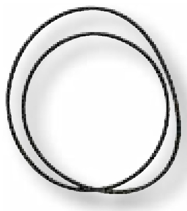 [AMAT3-103460] DANA Spicer O-ring - bucsa