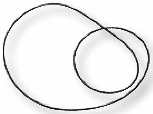 [AMAT3-103461] DANA Spicer O-ring - bucsa