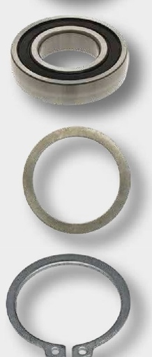[AMAT3-103775] Rulment