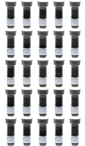 [AMAT3-108345] Șuruburi plug, 25 buc., M12x1,75 - 12.9 - cu pliuliță